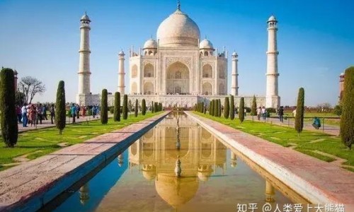 野薄荷的作用和功效与禁忌-野薄荷的作用和功效网 - 为你提供薄荷叶作用与功效、薄荷叶子的作用