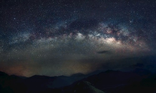 韭菜的功效与作用是什么啊